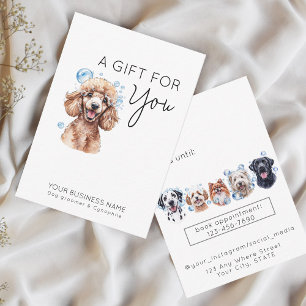 Adorable dog, poodle pet grooming gift card
