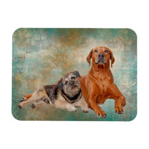 Adorable Dogs On Art Magnet