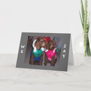 ADORABLE DOGS SAY ARF ARF(MERRY CHRISTMAS) HOLIDAY CARD