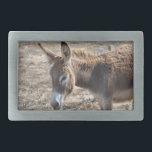 Adorable Donkey Belt Buckle<br><div class="desc">Really cute wild donkey in the country of Aruba.</div>