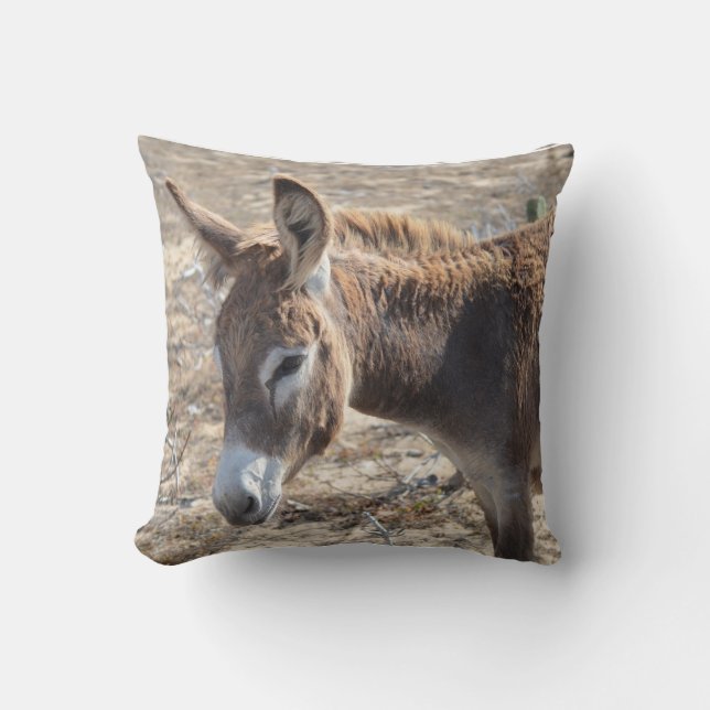 Adorable Donkey Cushion (Front)