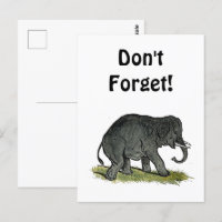 Adorable Elephant Cartoon, Cute Funny Zoo Friend