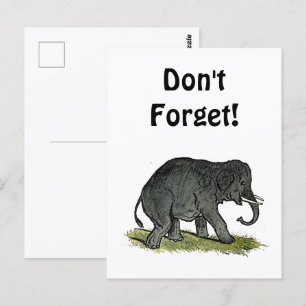 Adorable Elephant Cartoon, Cute Funny Zoo Friend Postcard