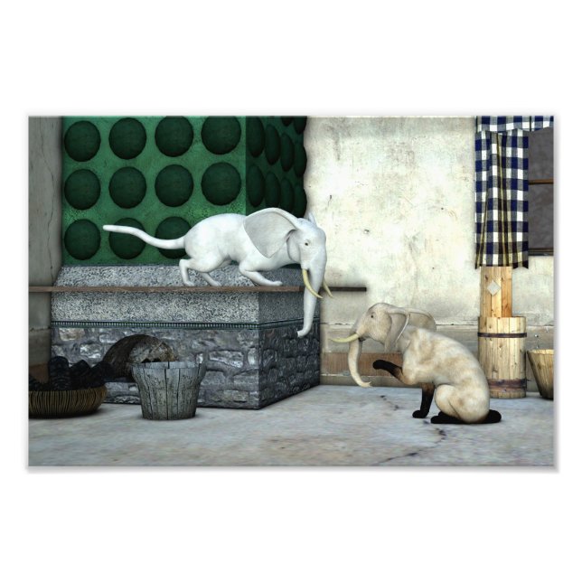 Adorable Elephant Cats Photo Print (Front)
