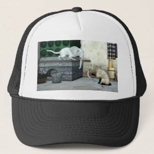 Adorable Elephant Cats Trucker Hat