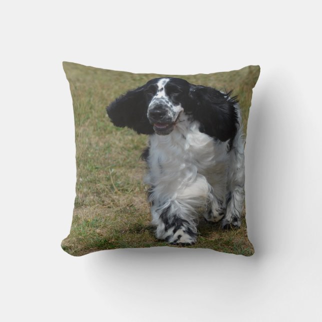 Adorable English Cocker Spaniel Cushion (Front)