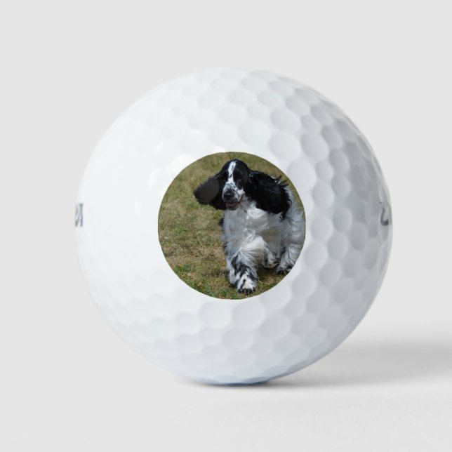 Adorable English Cocker Spaniel Golf Balls (Front)