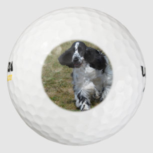 Adorable English Cocker Spaniel Golf Balls