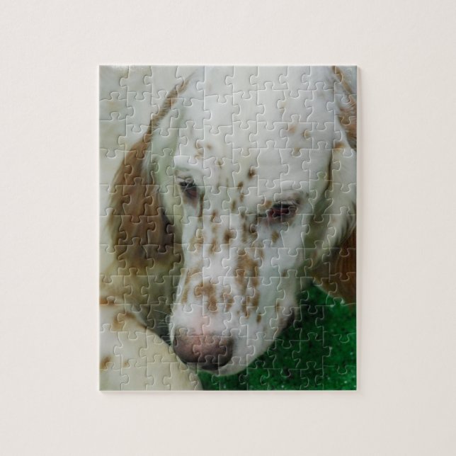 Adorable English Setter Jigsaw Puzzle (Vertical)