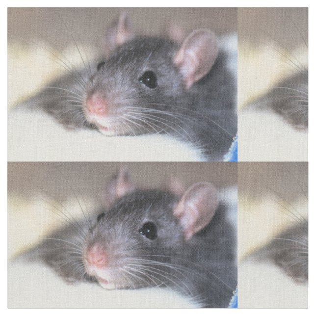 Adorable Fabric (Close Up)