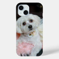 Adorable Fancy White Puppy Portrait Photo