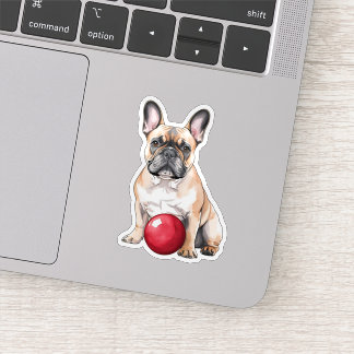 Adorable Fawn French Bulldog with Ball