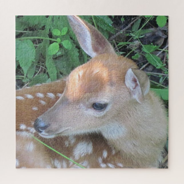 Adorable Fawn Jigsaw Puzzle (Vertical)