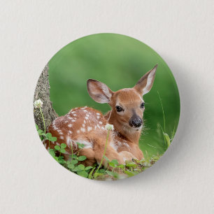 Adorable Fawn laying under a tree 6 Cm Round Badge