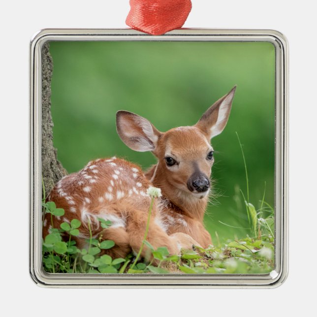 Adorable Fawn laying under a tree Metal Ornament (Front)