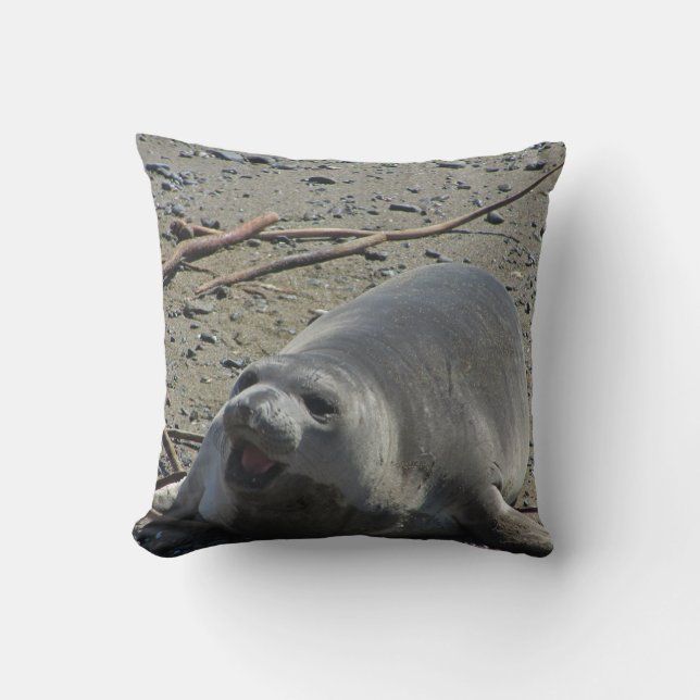 Adorable Female Elephant Seal Relaxes On Beach Cushion (Front)