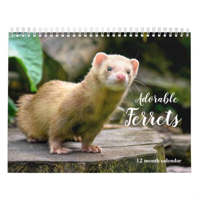 Adorable Ferrets 2026 Calendar (Cover)
