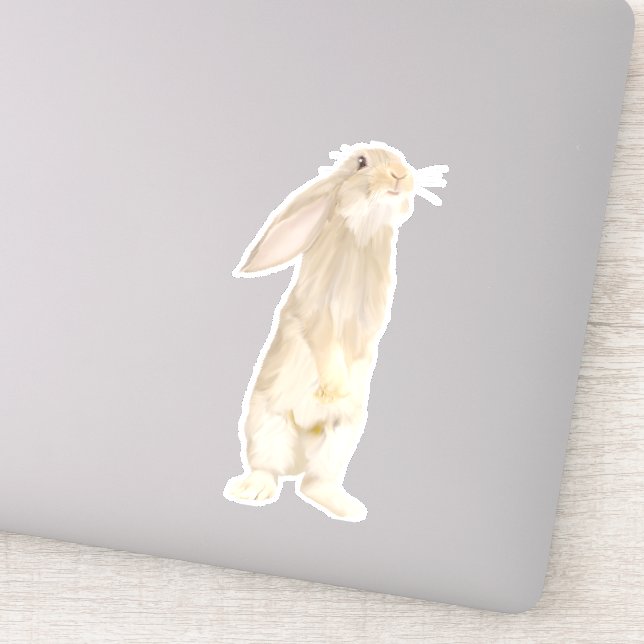Adorable Fluffy Bunny (Detail)