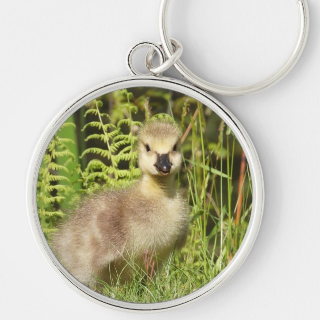 Adorable fluffy Gosling Key Ring (Front)