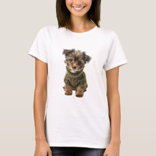 Adorable Fluffy Puppy in a Cosy Green Knitted T-Shirt