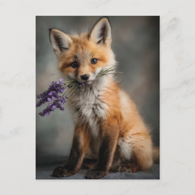 Adorable Fox Kit Holding Lavender Flowers Holiday Postcard (Front)