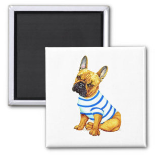 Adorable French Bulldog Puppy in a Shirt  Magnet