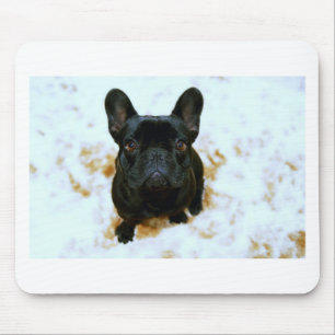 Adorable French Bulldog Puppy! Mouse Pad
