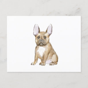 Adorable french bulldog puppy postcard