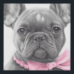 Adorable french bulldog puppy with a pink bow faux canvas print<br><div class="desc">Adorable french bulldog with a pink bow as a pencil sketch</div>