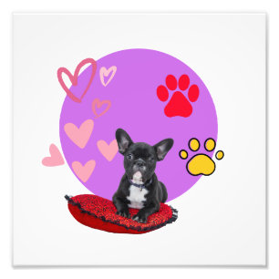 Adorable frienchie puppy  with hearts photo print