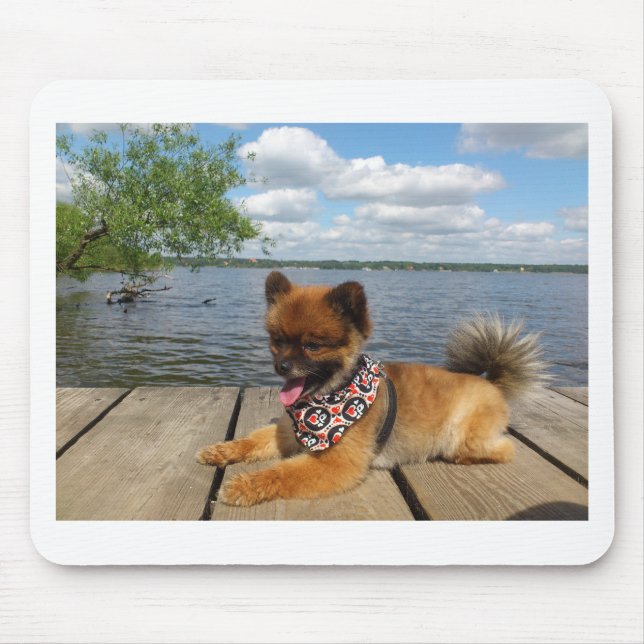 Adorable, furry dwarf spitz dog mouse pad (Front)