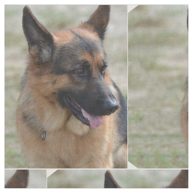Adorable German Shepherd Fabric (Close Up)