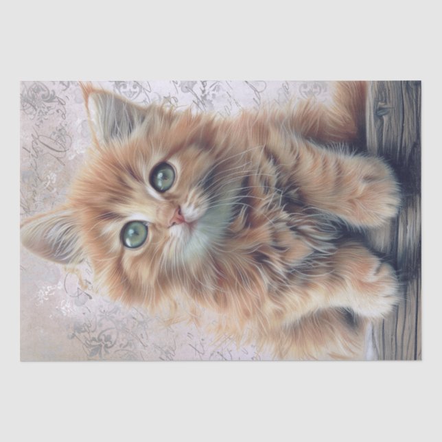 Adorable Ginger Fluffy Kitten Tissue Paper (Front)