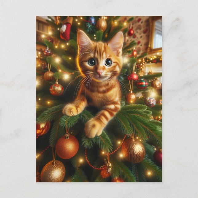 Adorable Ginger Kitten in a Christmas Tree Postcard (Front)
