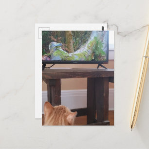 adorable ginger kitty watching TV Postcard