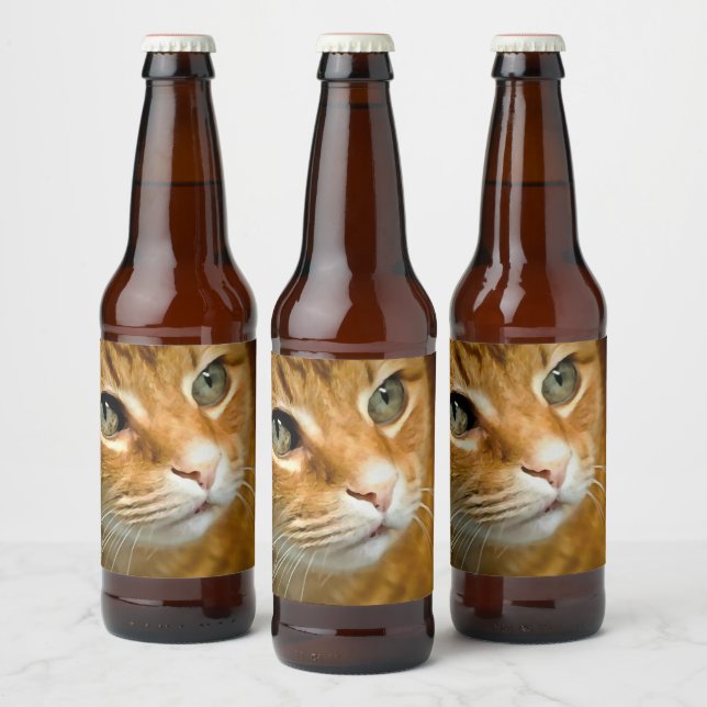 Adorable Ginger Tabby Cat Posing Pet Portrait Beer Bottle Label (Bottles)