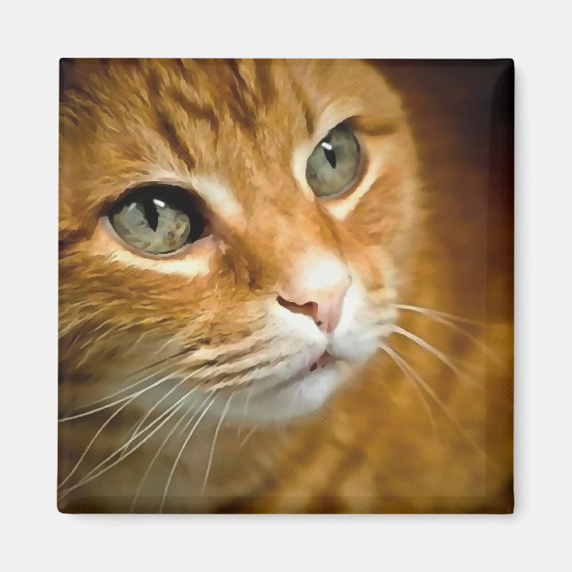 Adorable Ginger Tabby Cat Posing Pet Portrait Magnet (Front)