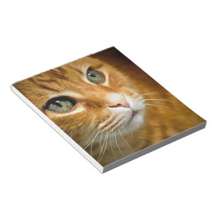 Adorable Ginger Tabby Cat Posing Pet Portrait Notepad