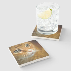 Adorable Ginger Tabby Cat Posing Pet Portrait Stone Coaster