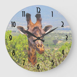 Adorable Giraffe Poking His Head Above The Trees Large Clock