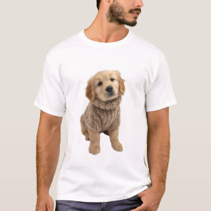 Adorable Golden Retriever Puppy in Cosy Brown Knit T-Shirt