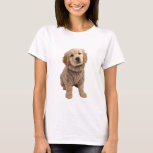 Adorable Golden Retriever Puppy in Cozy Brown Knit T-Shirt