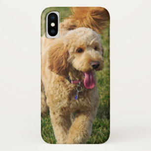 Adorable Goldendoodle Dog iPhone X Case