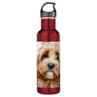 Adorable Goldendoodle puppy stainless steel water 710 Ml Water Bottle