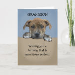 Adorable Grandson Birthday Card<br><div class="desc">Adorable grandson birthday card that is customisable with your personalised message.</div>