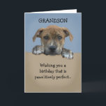 Adorable Grandson Birthday Card<br><div class="desc">Adorable grandson birthday card that is customisable with your personalised message.</div>