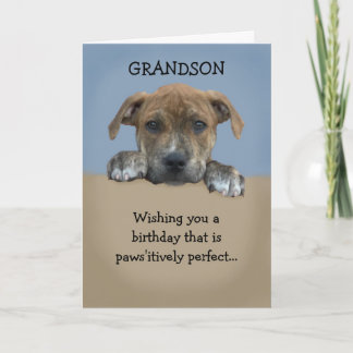 Adorable Grandson Birthday Card