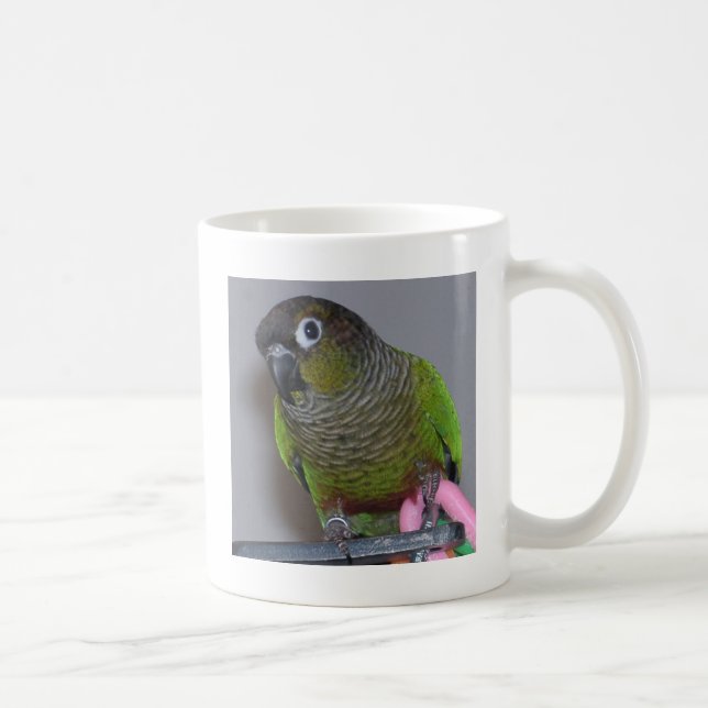 Adorable Greencheek Conure Coffee Mug (Right)
