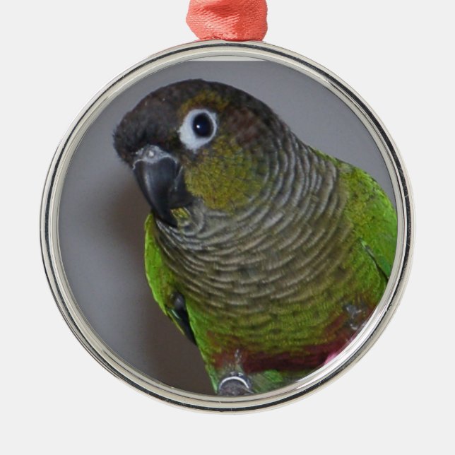Adorable Greencheek Conure Metal Tree Decoration (Front)
