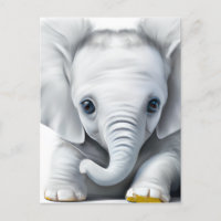 Adorable Grey Baby Elephant